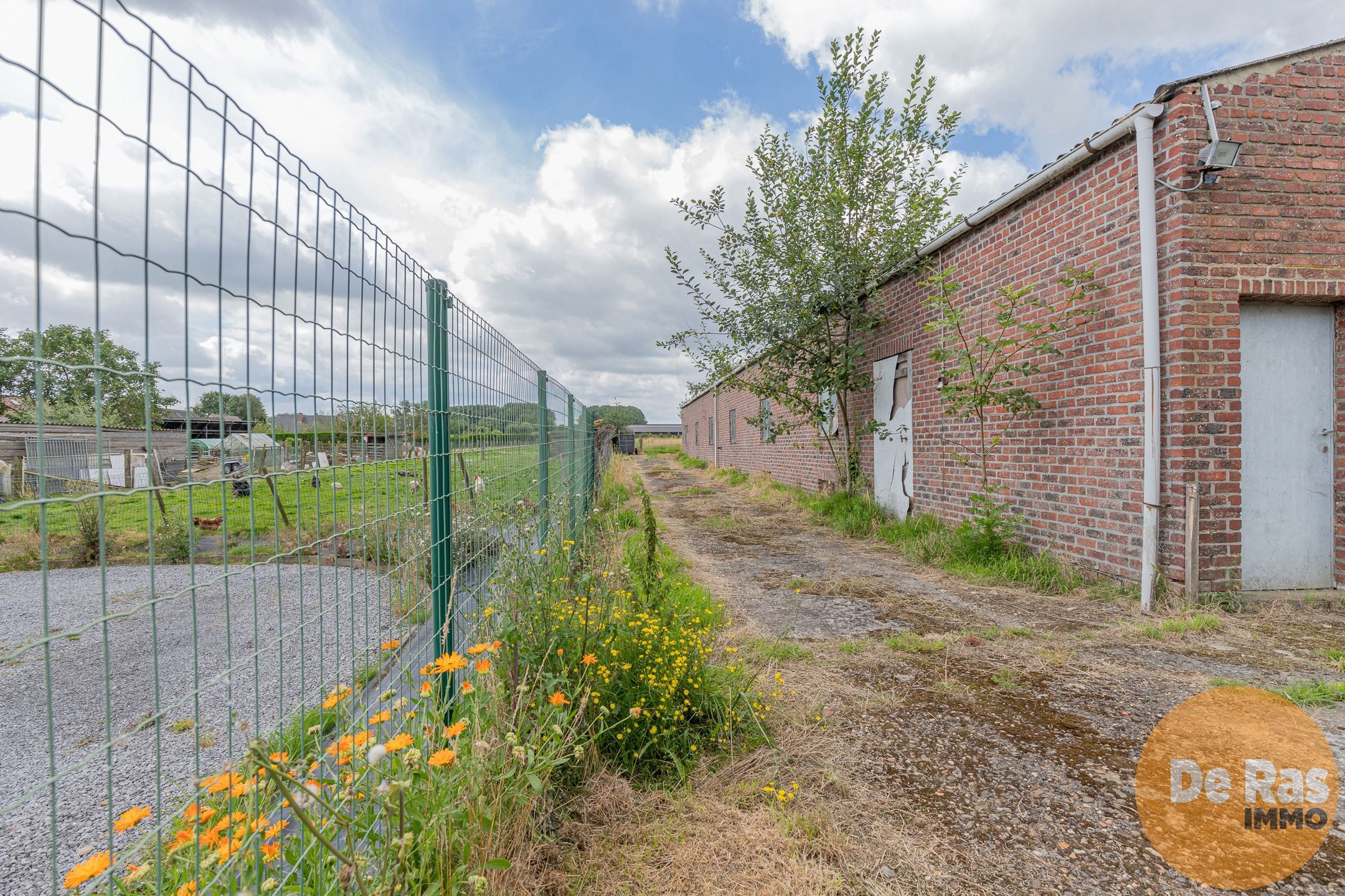 ERPE-MERE- WONING MET BIJGEBOUW OP 76a foto 8