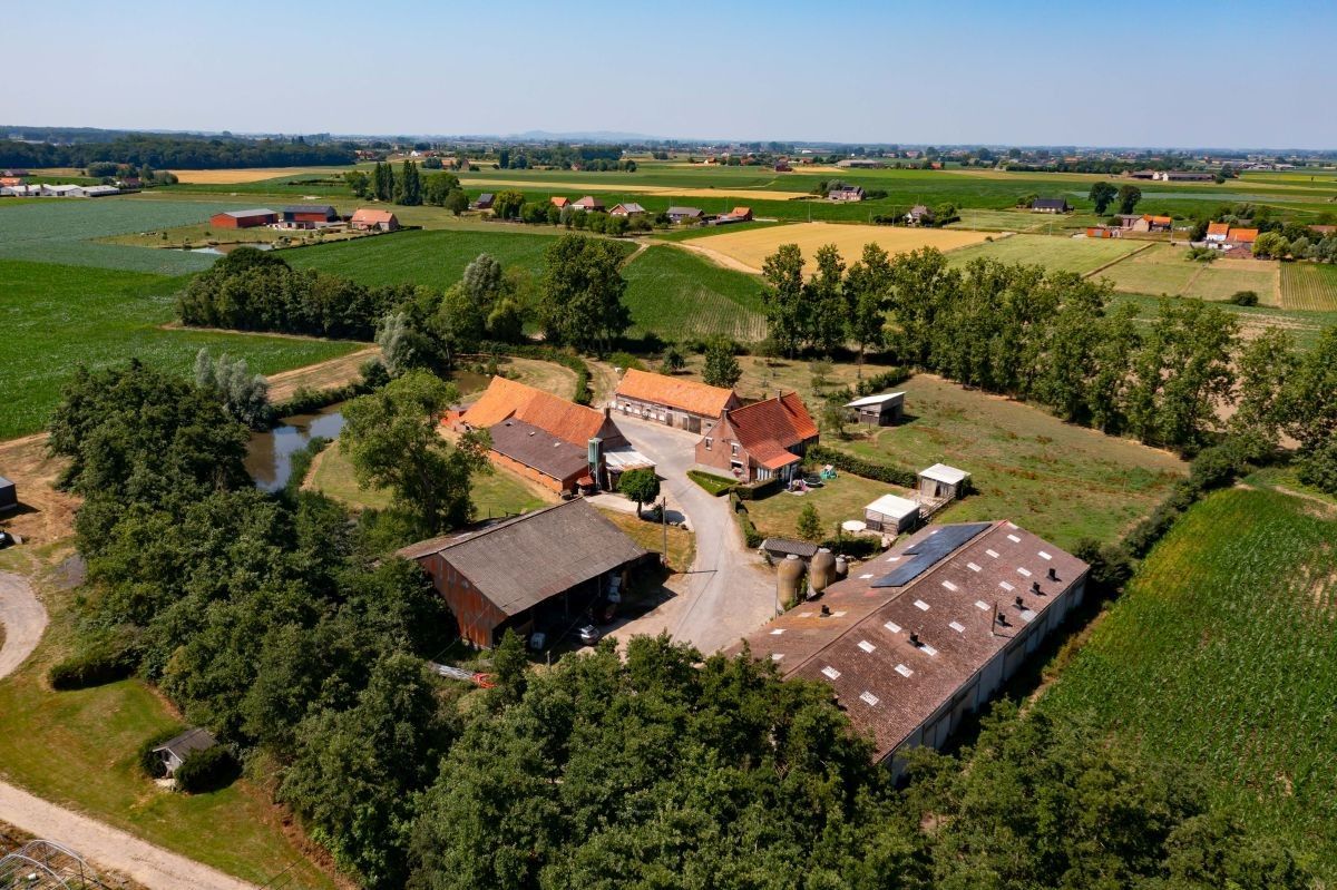 Zeer mooi gelegen hoeve met aanpalende landbouwgronden te koop te West-Vleteren foto 9