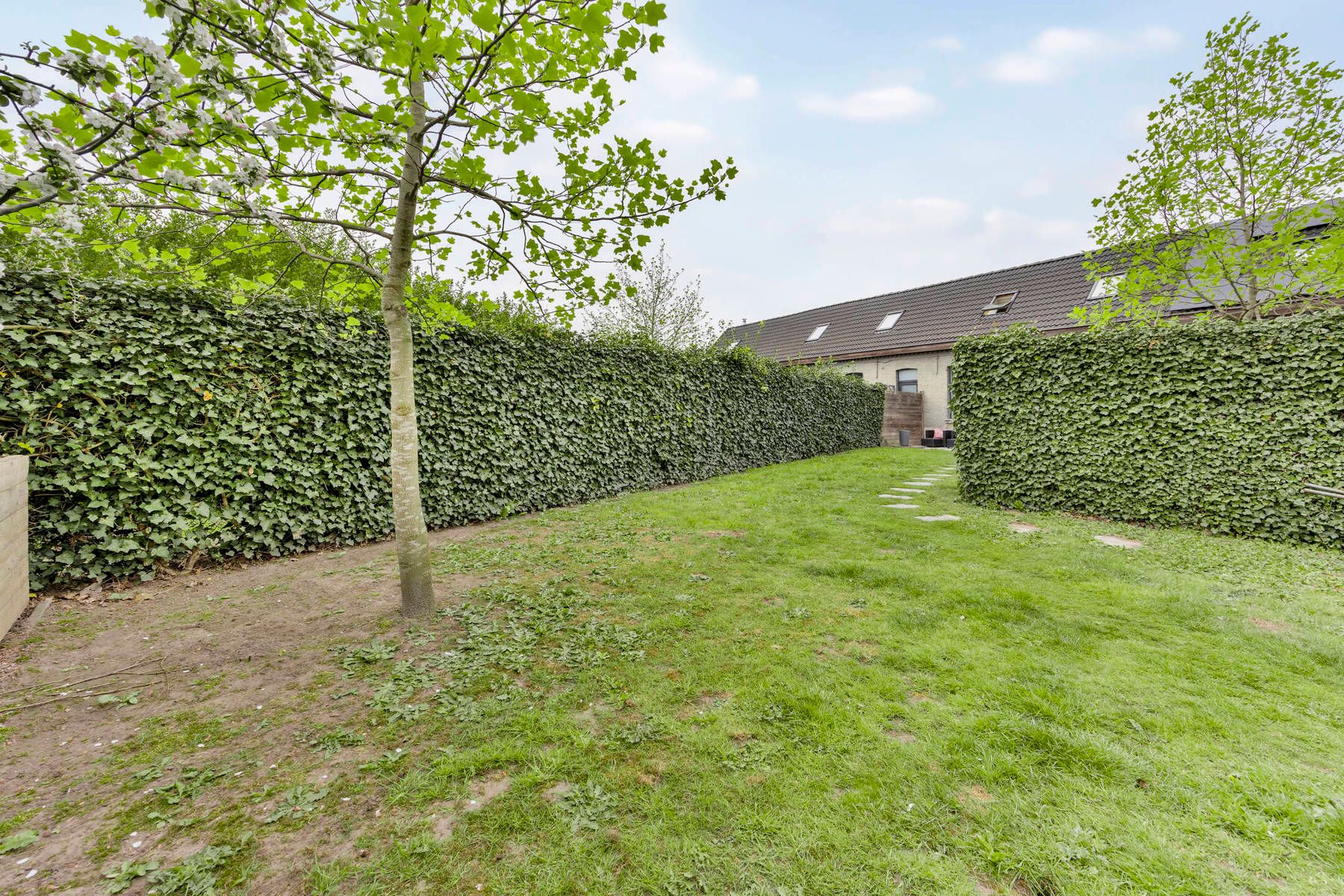 Instapklare starterswoning met parkeerplaats en hobbyruimte foto 16