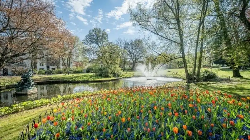 Comfortabel en lichtrijk 2-slaapkamerappartement met TERRAS te huur in Brugge foto 11