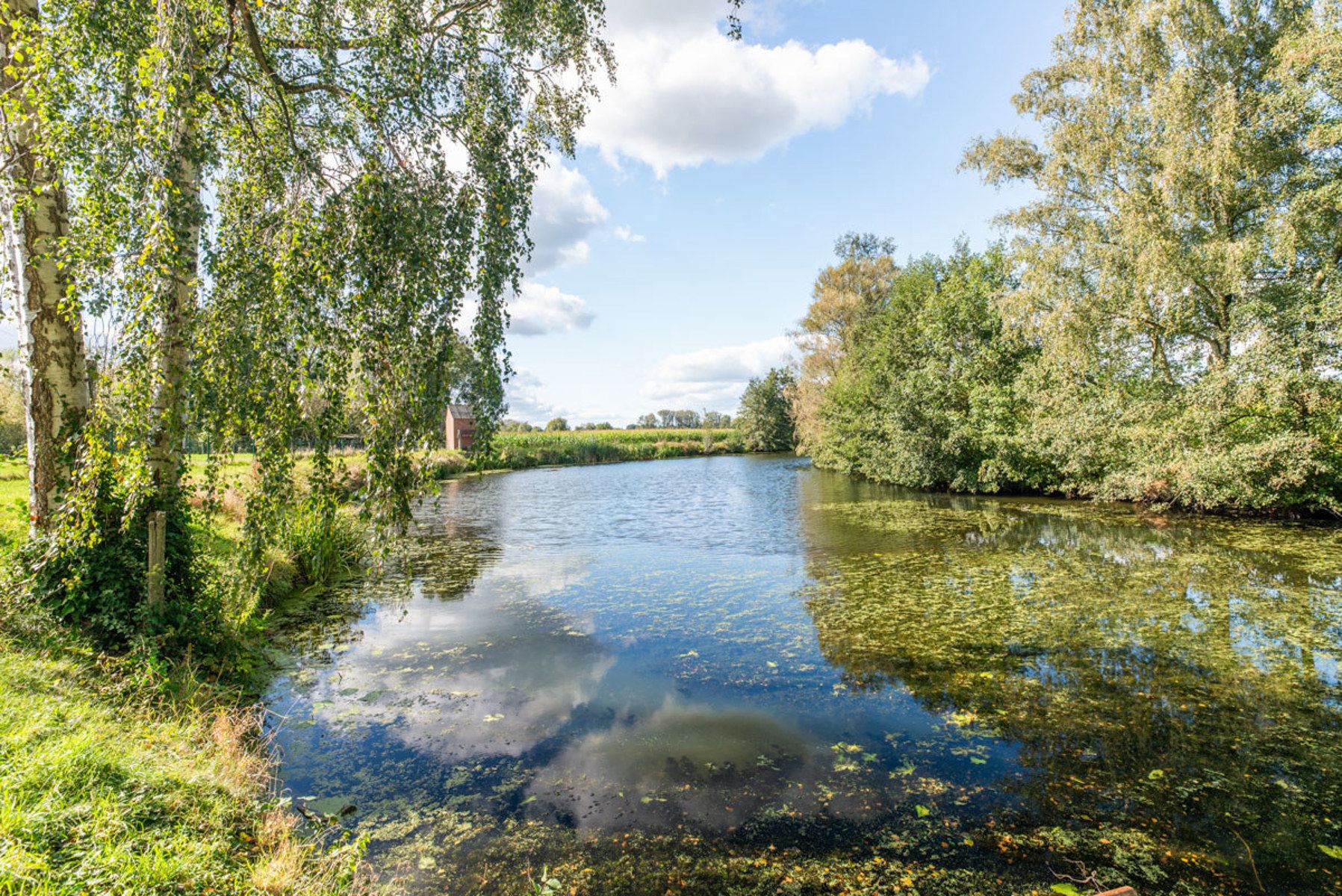 Landelijke bouwgrond te Meerse foto 6