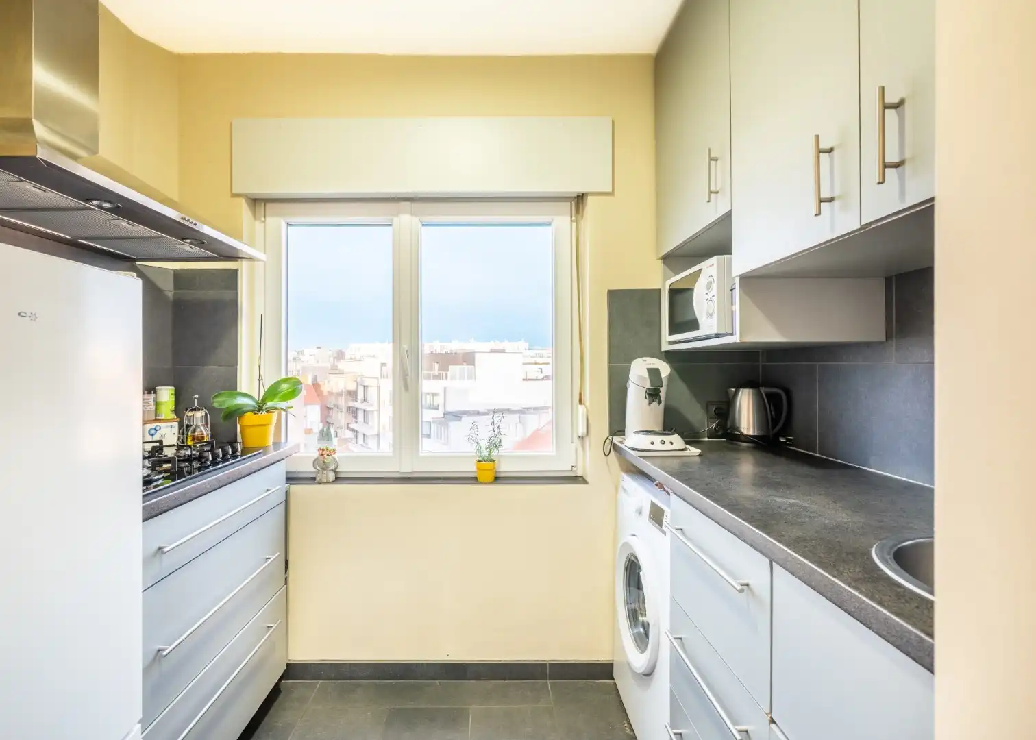 Porto Rico - 04.03 foto 5