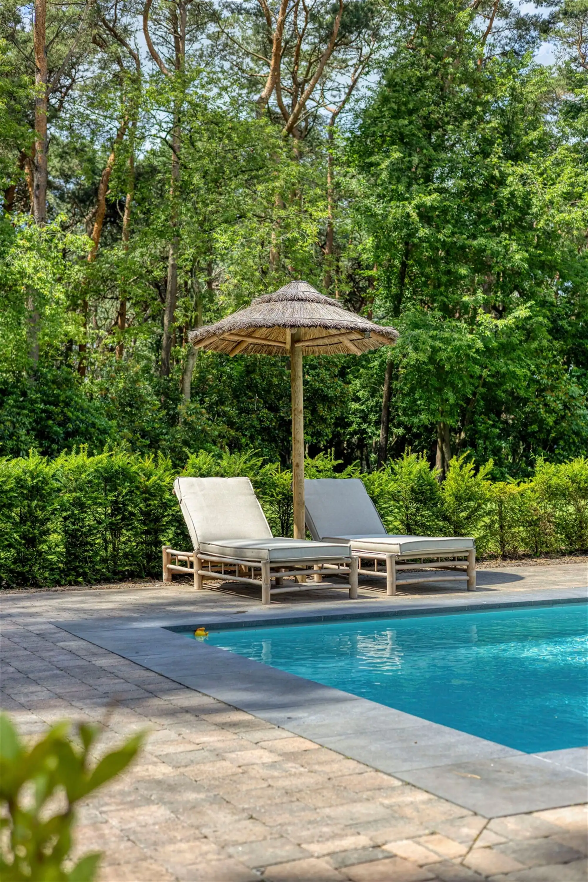 Landelijke luxe: unieke villa op ca. 11.000 m² privé-domein foto 65